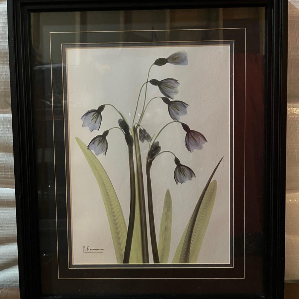 Framed Print
